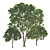 Opulent Oak Trees: 6-10-15m 3D model small image 5