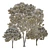 Opulent Oak Trees: 6-10-15m 3D model small image 6