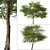 English Hawthorn Tree Set (2 Trees) - Beautiful, Hardy, Deciduous 3D model small image 6