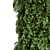 Lush Greenwall Set 173 3D model small image 2