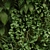 Lush Greenwall Set 173 3D model small image 3