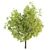 Lush Tree Collection Vol 48 3D model small image 4