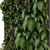 Versatile Greenwall Set 174 3D model small image 2