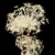 Title: Botanical Elegance: Bouquet of Berenklauw 3D model small image 3