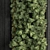 Stylish Vertical Garden: Black Frame Décor 3D model small image 2