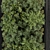 Stylish Vertical Garden: Black Frame Décor 3D model small image 3