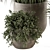 Concrete Pot Plant Set: Yuka & Bush 3D model small image 3