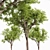 Real Tree Quercus Serrata: 3D Model 3D model small image 3