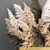 Elegant Dry Reed Bouquet 3D model small image 2