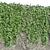 Natural Green Hanging Ivy Collection 3D model small image 5