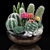 Desert Collection: Cactus Bowl 3D model small image 1