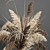 Pampas Grass Collection: Dried Reed and Stabilized Flowers 3D model small image 4