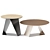 Elegant Sitland Tov Coffee Table 3D model small image 1