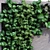 Versatile Greenwall Set 180 3D model small image 6