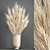 Reed Bouquet in Menu Cyclades Vase 3D model small image 1