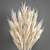 Reed Bouquet in Menu Cyclades Vase 3D model small image 2