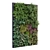 Dynamic Greenwall Set 181 3D model small image 6