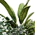 Greenery Box: Botanical Set 188 3D model small image 6
