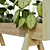 EcoPlant Box Set 189: Lush & Green 3D model small image 3
