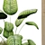 EcoPlant Box Set 189: Lush & Green 3D model small image 6