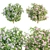 Vibrant Blooms Bushes Set 3D model small image 1