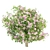 Vibrant Blooms Bushes Set 3D model small image 4