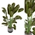 Green Oasis Indoor Plant Collection 3D model small image 2
