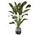 Green Oasis Indoor Plant Collection 3D model small image 5