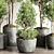 145-Piece Collection: Indoor/Outdoor Plant Tree Vase in Dirty Concrete 3D model small image 6