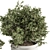 Bountiful Greens 311: Stylish Indoor Plant Set 3D model small image 2