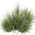 Outdoor Bush Set 310 - High-Quality 3D Plants 3D model small image 2