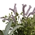 Botanical Bliss: 192-Piece Plant Box Set 3D model small image 2