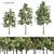Resinous Evergreen Pine Trees 3D model small image 1