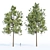 Resinous Evergreen Pine Trees 3D model small image 3