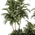 Tropical Oasis Outdoor Plant Set 3D model small image 3
