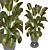 Indoor Oasis: Plant Collection 3D model small image 4