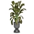 Indoor Oasis: Plant Collection 3D model small image 5
