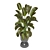 Indoor Oasis: Plant Collection 3D model small image 6