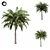 Tropical Palm Tree 01 3D model small image 2