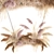 Reed Bouquet 200: Elegant Dry Flower Decor 3D model small image 1