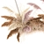 Reed Bouquet 200: Elegant Dry Flower Decor 3D model small image 2