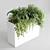 Indoor Plant Collection: 147 Plants in White Concrete Vase 3D model small image 1