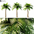 Tropical Paradise Palm Tree 3D model small image 2