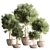 Modern Indoor Plant Stand 38 3D model small image 1