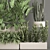 Exotic Plant Collection: Decorative Palms, Ferns, Cacti & More 3D model small image 2