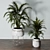 Lush Indoors: Fern Duo 3D model small image 2