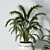 Lush Indoors: Fern Duo 3D model small image 3