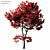 2014 Acer Palmatum: 14m Height, Corona Render 3D model small image 2