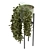 Modern Indoor Plants in Bau Pot 3D model small image 4