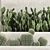 Exotic Cactus Collection: Decorate Your Space with Tropical Plants 3D model small image 5
